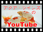 アクアツインズのYouTube