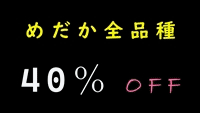 めだかセール