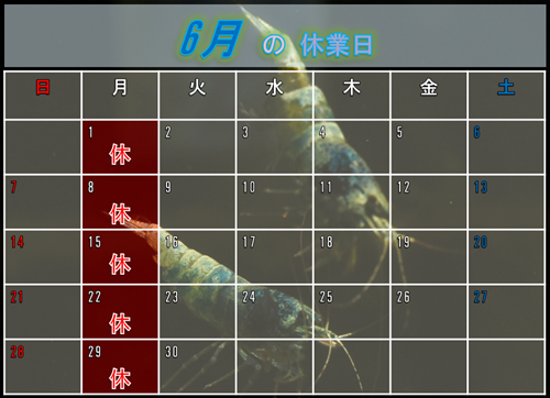 6月のカレンダー