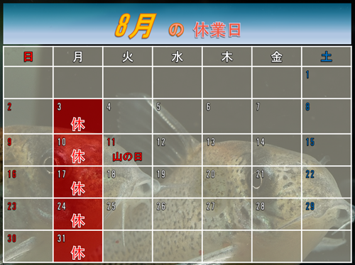 ８月のカレンダー
